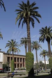 Image du Maroc Professionnelle de  Le Parlement marocain au Boulevard Mohammed V à Rabat le 6 Octobre 2011. (Photo / Abdeljalil Bounhar)